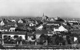 44 - MONTOIR DE BRETAGNE Vue Générale - CPSM Village ( 7 080 Habitants) Dentelée N/B Format CPA - Loire Atlantique - Other & Unclassified