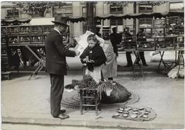 75 Paris  1900  Photo Desoye Bourg  Du Mourron  Pour Les Petits Oiseaux - Zonder Classificatie