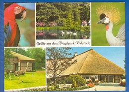 Deutschland; Walsrode; Lueneburger Heide; Vogelpark; Bild2 - Walsrode