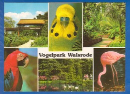 Deutschland; Walsrode; Lueneburger Heide; Vogelpark - Walsrode