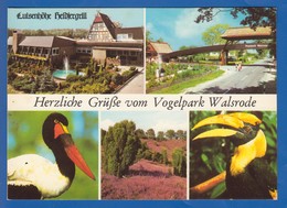 Deutschland; Walsrode; Lueneburger Heide; Vogelpark - Walsrode