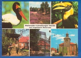 Deutschland; Walsrode; Lueneburger Heide; Vogelpark - Walsrode