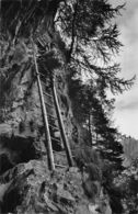 Leukerbad Albinenleitern Am Weg N. Albinen - Loèche-les-Bains - Animée - Loèche