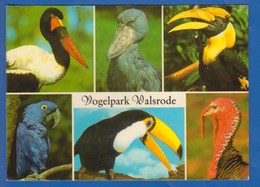 Deutschland; Walsrode; Lueneburger Heide; Vogelpark - Walsrode