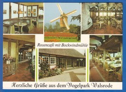 Deutschland; Walsrode; Lueneburger Heide; Vogelpark; Rosencafe Und Bockwindmühle - Walsrode