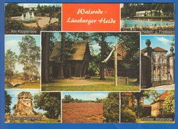 Deutschland; Walsrode; Lueneburger Heide; Multibildkarte - Walsrode