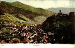 CPA AK Hornberg Vue Generale GERMANY (934562) - Hornberg