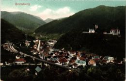 CPA AK Hornberg Vue Generale GERMANY (934612) - Hornberg