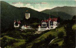 CPA AK Hornberg Schloss GERMANY (934617) - Hornberg