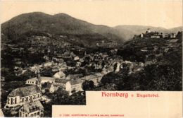 CPA AK Hornberg V.Ziegeltobel GERMANY (934634) - Hornberg