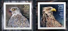 2019 Iceland Europa Birds Full Set Of 2 Self Adhesive MNH - Carnets