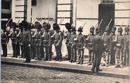 BELGIQUE - BRUXELLES - Grenadiers Et Carabiniers - Fêtes, événements