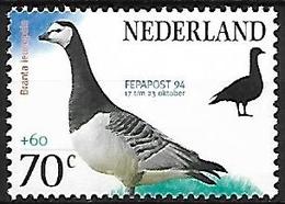 NETHERLANDS - MNH - 1994 :  Barnacle Goose  -  Branta Leucopsis - Gänsevögel