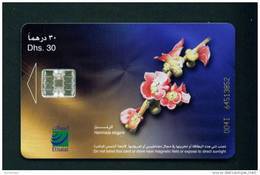 UNITED ARAB EMIRATES - Chip Phonecard As Scan - Emirati Arabi Uniti