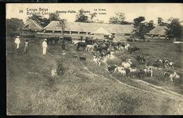 Carte N° 53. Vue 36. Stanley-Falls, Romée: La Ferme  - De Hoeve (carte Neuve) - Entiers Postaux