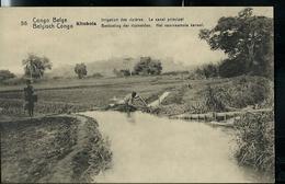 Carte N° 53. Vue 56. Kitobola: Irrigation Des Rizières; Le Canal Principal (carte Neuve) - Ganzsachen