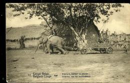 Carte N° 53. Vue 72. Api: Eléphants Trainant Un Chariot (carte Neuve) - Postwaardestukken