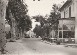 CPSM  84  CAMARET  CAMION UNIC ? COURS DU MIDI CAFE DU SIECLE - Camaret Sur Aigues