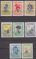 Mongolia Flowers 1960 Mi#184-191 Mint Never Hinged - Mongolei
