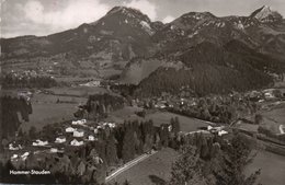 HAMMER-STAUDEN-REAL PHOTO - Miesbach