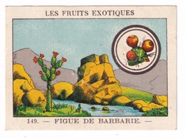 Image Années 1950 Casino Fruit Exotique Figue De Barbarie Figuier D'Inde Prickly Pear A31-9 - Other & Unclassified