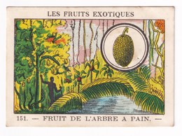 Image Années 1950 Casino Fruit Exotique Arbre à Pain Moluques Breadfruit A31-9 - Other & Unclassified