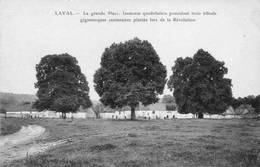 D53 - LAVAL - LA GRANDE PLACE, IMMENSE QUADRILATERE, POSSEDANT 3 TILLEULS CENTENAIRES PLANTES LORS DE LA REVOLUTION - Laval