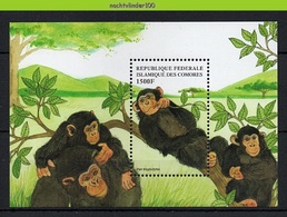 Nff204 FAUNA AAP APEN ZOOGDIEREN CHIMPANSEE MONKEYS MAMMALS APES AFFEN SINGES COMORES 1999 PF/MNH - Chimpanzees