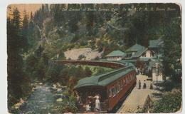 SHASTA SPRINGS CA California RR Railroad Early C1910 - Albany