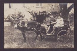 CPA Ane Donkey Attelage Carte Photo Non Circulé - Burros