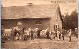 BELGIQUE - BEVERLOO - Camp - Cavalerie - Beringen