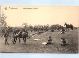 MILITARIA - Armée Belge - Reconnaissance D'Officier - Regimenten