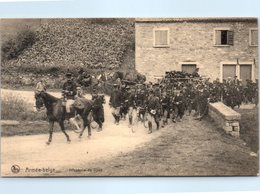 MILITARIA - Armée Belge - Infanterie - Regimente