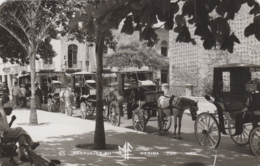 Amérique - Mexique Mexico - Merida - Carruajes En Merida - Attelage Chevaux - Calèches  Foto - Mexique