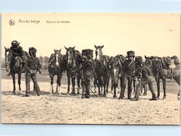 MILITARIA - Armée Belge -- Escorte De Guides - Régiments