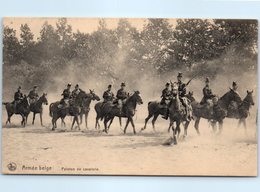 MILITARIA - Armée Belge -- Peleton De Cavalerie - Regiments