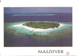 MALDIVES - Maldivas