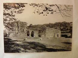 Cymmer Abbey, Merionethshire - From The South - Merionethshire