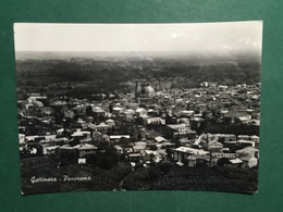 Cartolina Gattinara - Panorama - 1965 - Vercelli