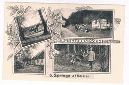 D-10126   SPRINGE A/ DEISTER : Forsthaus KöllnischFeld - Springe