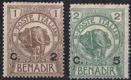 SOMALIA, COLONIA ITALIANA - 1906 E Segg. - Lotto Di 2 Valori Nuovi MH: Yvert 10 E 11. - Somalië