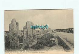 56 - ERDEVEN - KERZERHO - Mégalithe - Menhir - Alignements De Kerzéro - Erdeven