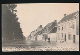 HERZELE  ALLEE DES PLATANES - Herzele