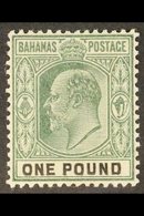 1902  KEVII £1 Green & Black, SG 70, Very Fine, Lightly Hinged Mint For More Images, Please Visit Http://www.sandafayre. - Other & Unclassified