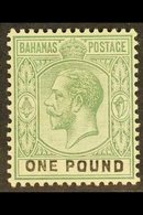 1912-19  £1 Dull Green And Black, Wmk Mult Crown CA, SG 89, Very Fine Mint. For More Images, Please Visit Http://www.san - Sonstige & Ohne Zuordnung