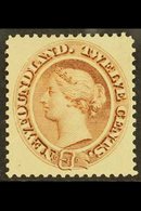 1894  12c Deep Brown, SG 61, Very Fine Mint. For More Images, Please Visit Http://www.sandafayre.com/itemdetails.aspx?s= - Autres & Non Classés