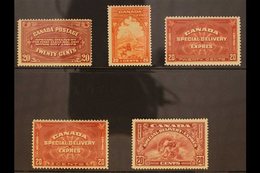 SPECIAL DELIVERY STAMPS  1922-1946 COMPLETE VERY FINE MINT RUN On Stock Cards, SG S4/17, Includes 1922 20c, 1930 20c, 19 - Autres & Non Classés
