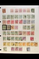 1880-2012 EXTENSIVE COLLECTION  A Mint & Used Collection Presented In An Album With Often Duplicated Ranges Up To KGVI T - Other & Unclassified