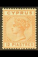 1892-94  12pi Orange-brown, SG 37, Fine Mint. For More Images, Please Visit Http://www.sandafayre.com/itemdetails.aspx?s - Autres & Non Classés