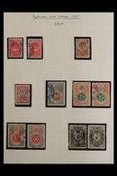 BYPOSTS LOCAL STAMPS  1885-1887 INTERESTING COLLECTION Of AALBORG Issues, Nicely Written Up On Leaves With Mint & Used S - Altri & Non Classificati